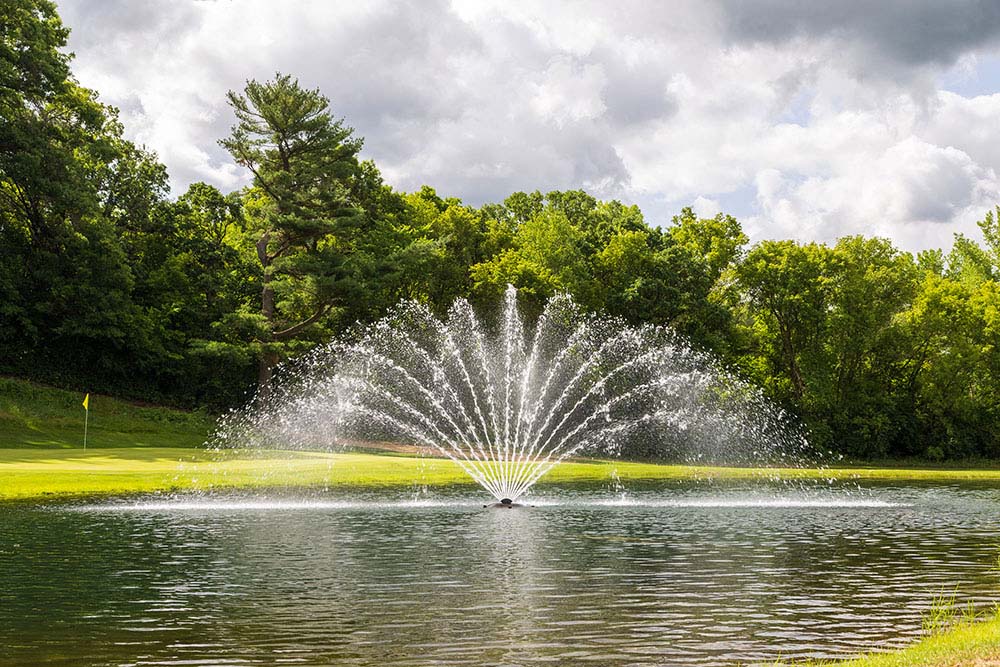 Kasco Standard Pattern Fern Fountain